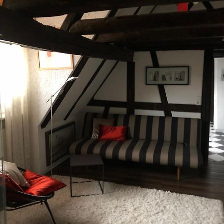 Ferienwohnung Im 'Schmoller - Hof' Neustadt an der Weinstraße Exterior foto