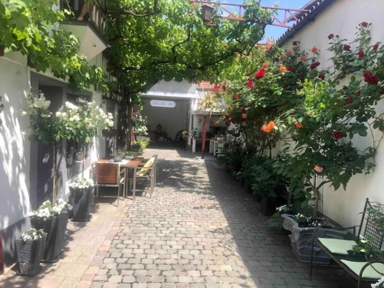 Ferienwohnung Im 'Schmoller - Hof' Neustadt an der Weinstraße Exterior foto